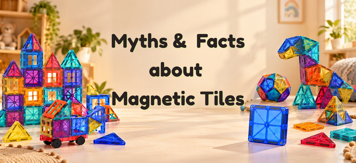 Debunking Myths and Facts About Popularity of Magnetic Tiles – Circus9